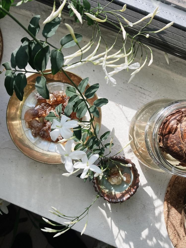 A sunlit white surface displaying a jasmine plant with long, trailing stems bearing white star-shaped flowers. The plant is arranged around decorative vessels - a round brass plate with amber frankincense resin tears and a small shell-like dish. Green leaves cascade around the white jasmine flowers, creating a natural arrangement bathed in dappled sunlight.