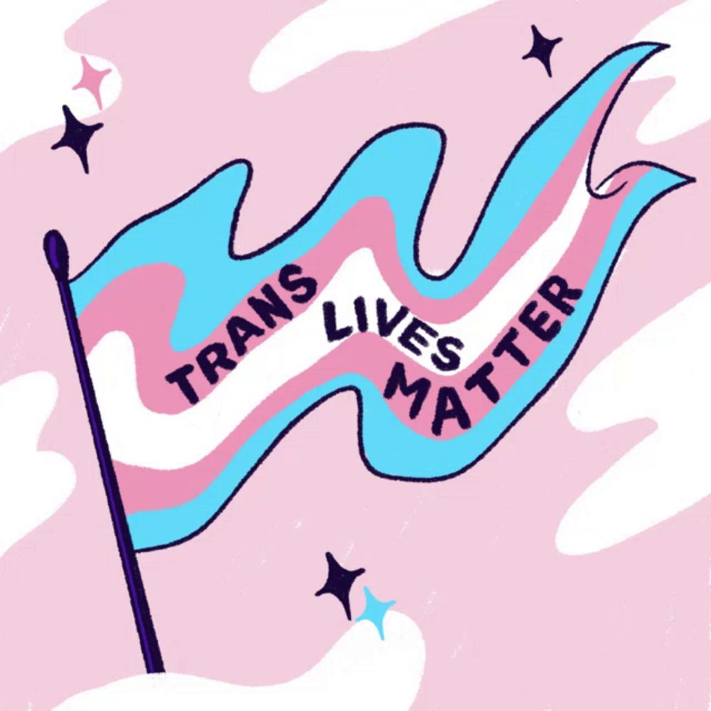 a transgender flag with the words trans lives matter on it