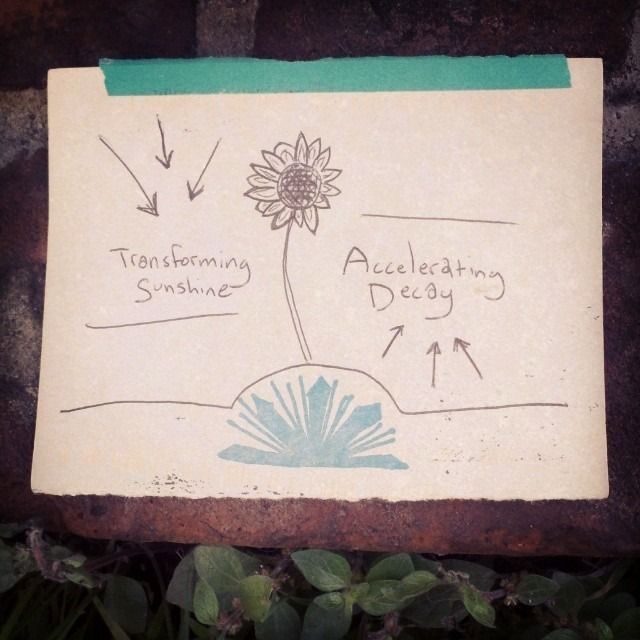 A drawing of a flower above a small blue crystal print. Arrows pointing down say "Transforming sunshine", arrows pointing up say "Accelerating decay".