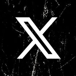 The new X logo. However this is not the original clean one. It's that updated dirty one that looks like it was pulled from motocross X games or something