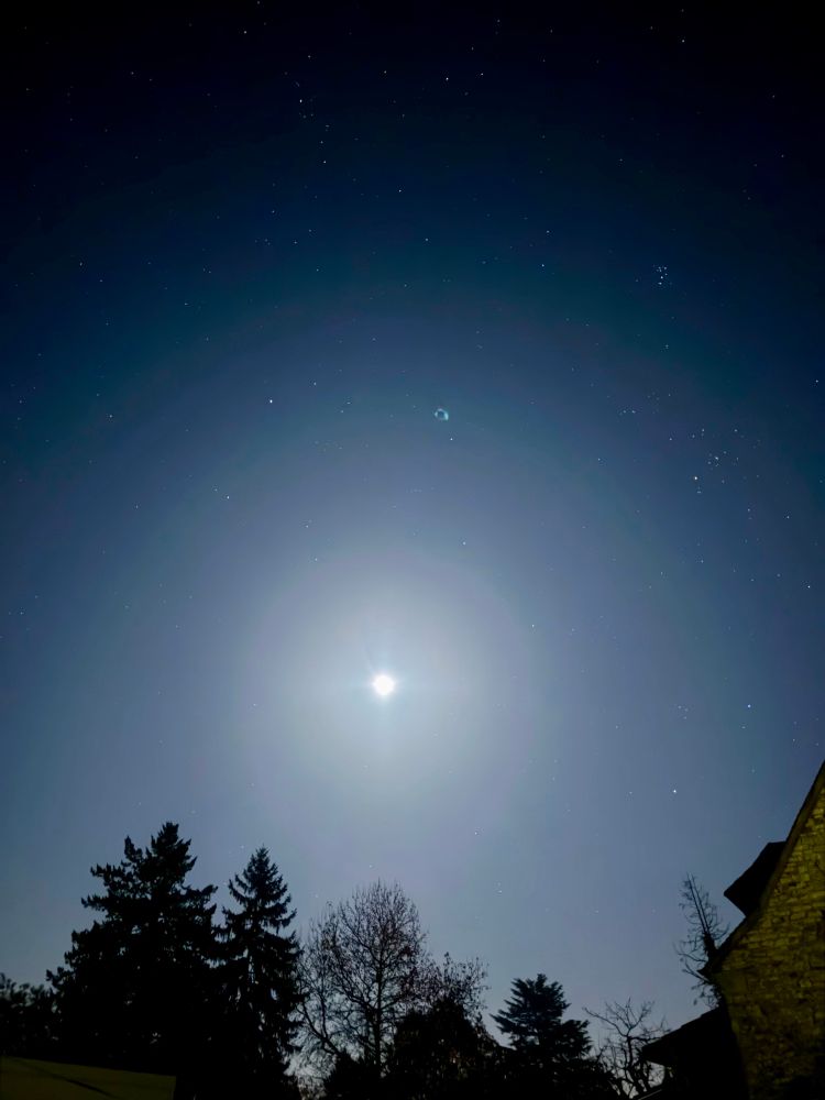 Bright moonrise over dark trees with bright stars sprinkling the clear sky overhead. 