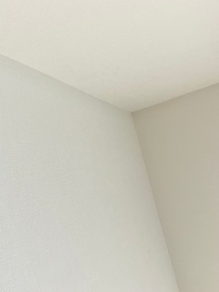 天井の隅の写真。オフホワイトの壁と天井。
