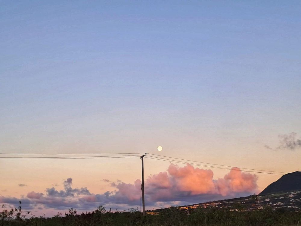 Pastel pink clouds stretch across the horizon at sunrise, with the moon still visible in the soft blue sky. A single utility pole stands in the foreground over dark green treetops.

