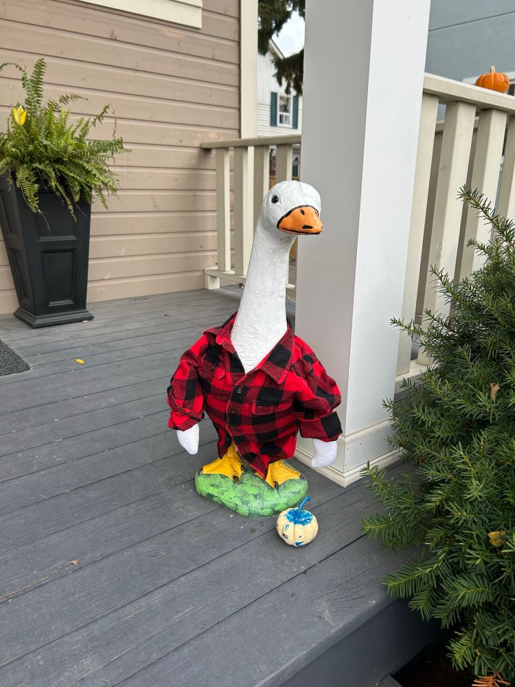 Goose wearing a red plaid shirt