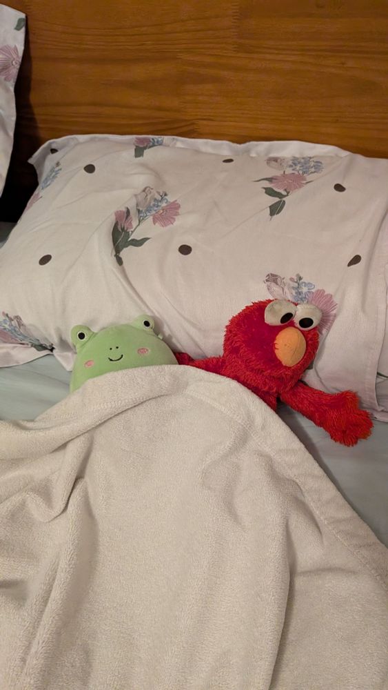 A froggy squishmallow and Elmo tucked under covers in your bed