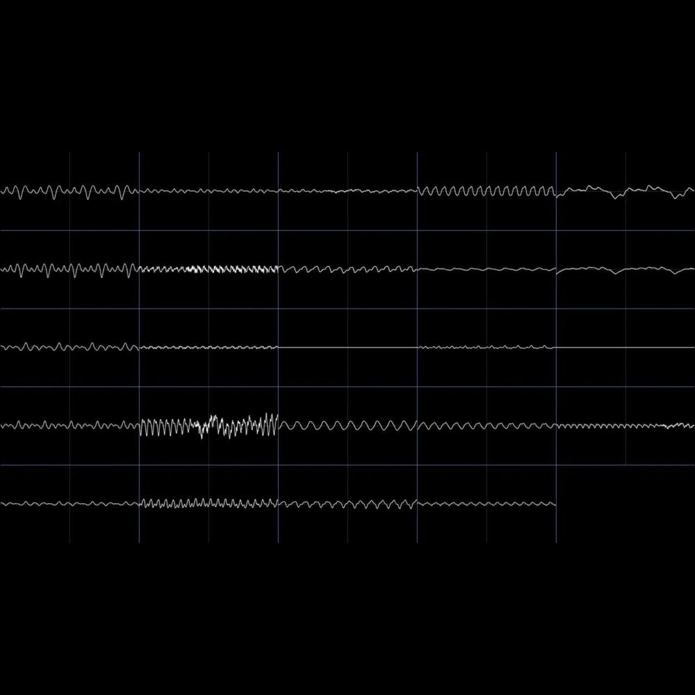 OPM & SegaPCM | Furnace Tracker Intro | IntroTune | Corrscope 0.8.1