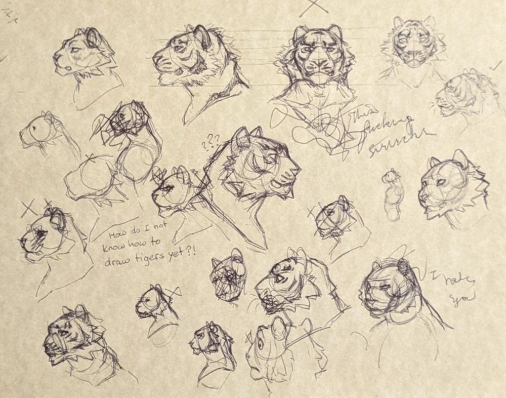 Ballpoint pen sketches of tiger heads