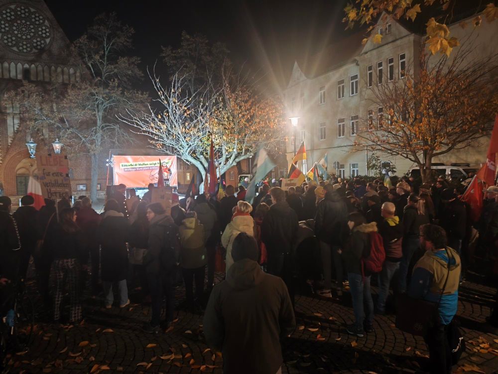 Viele Demonstranten mit Fahnen und Transparenten