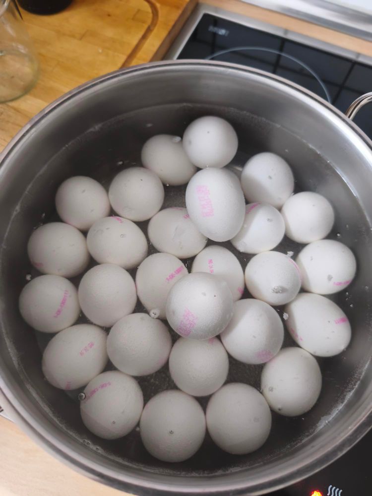 Ein Topf voller weißer Eier.