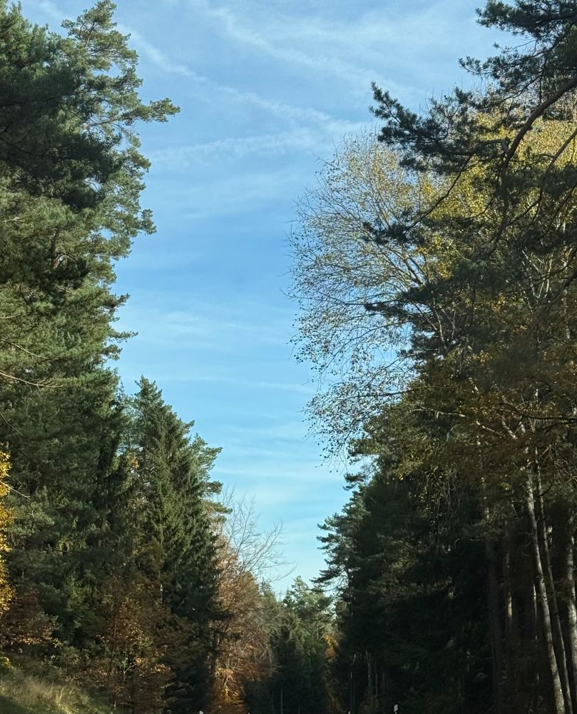 Links und rechts Bäume - in der Mitte ein Himmelsdreieck.