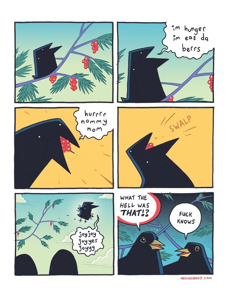 6 panel comic 

P1: a super simplistic looking drawing of a bird is sat on a tree branch, which is heavy with plump red berries. Every single thing that could be drawn "wrong" on the bird is done so.

P2: the bird's beak opens: "im hunger i eat da berrs"

P3: a close up of the bird as they chow down on some delish beers. "hurrrr nommy nom"

P4: the bird snaps their head back, and swallows the berries whole with a loud "SWALP"

P5: POV pans back as the bird flies away, rejoicing with a "joyjoyjoy yes joyyy"

Two silhouetted figures in the foreground watch...

P6: They are revealed to be realistic looking blackbirds. The one on the left looks on in horror and says "what the hell was THAT!?" The one on the right turns to their companion and says "fuck knows"
