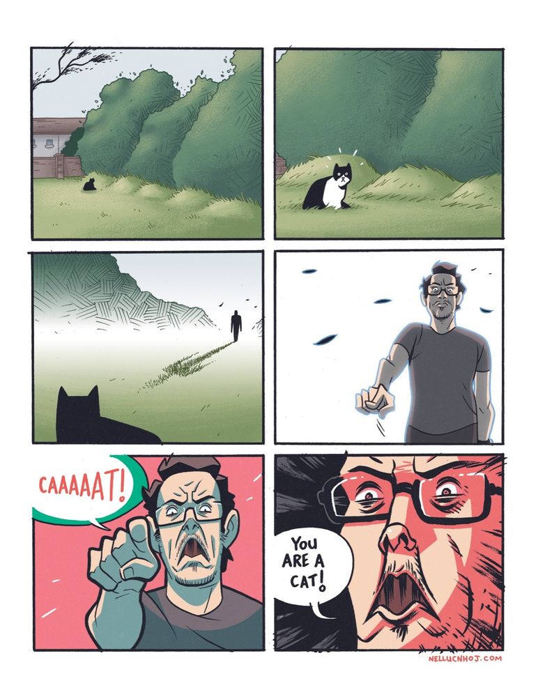 6 panel comic

P1: a lone cat sits in a large grassy area. There are trees to the right, some houses in the background, and a tree branch entering the top left of the frame

P2: a close up of the cat, as they look in shock toward us at something off-panel

P3: POV shifts to over the cat's shoulder. In the distance, a lone human figure stands in the grass, a long shadow forming before them

P4: we reveal the person is me, backlit, head held high, as I begin to raise my right hand.

P5: a closeup on me as I point straight at the reader and shout "CAAAAAT!"

P6: pan right in on my horrible face, as I angrily continue: "YOU ARE A CAT!"