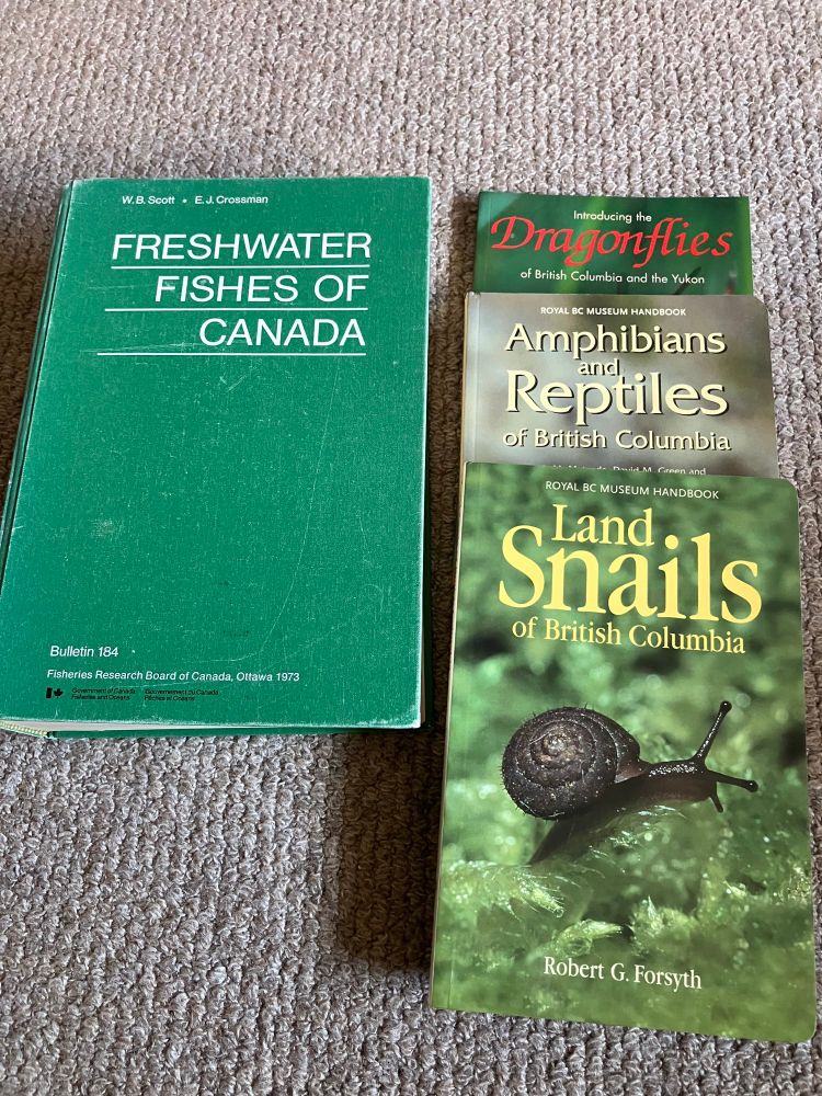 Four books photographed on the floor. 