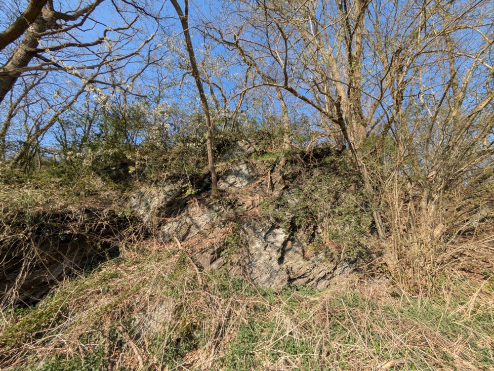 Weitere Felsgesteinformationen unter Geäst und Dickicht.