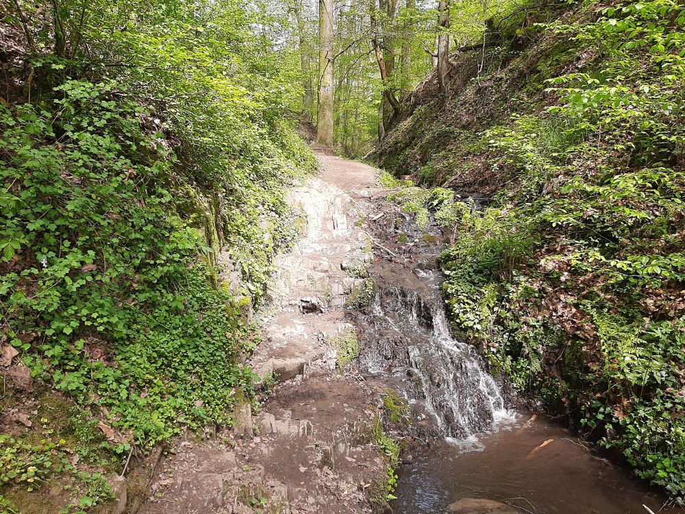 Unebener Pfad durch den Wald, kleiner Wasserfall rechts im Bild.