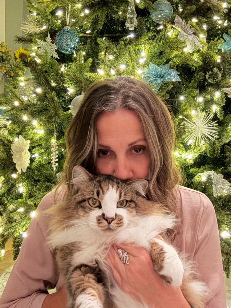 Big fluffy tabby cat