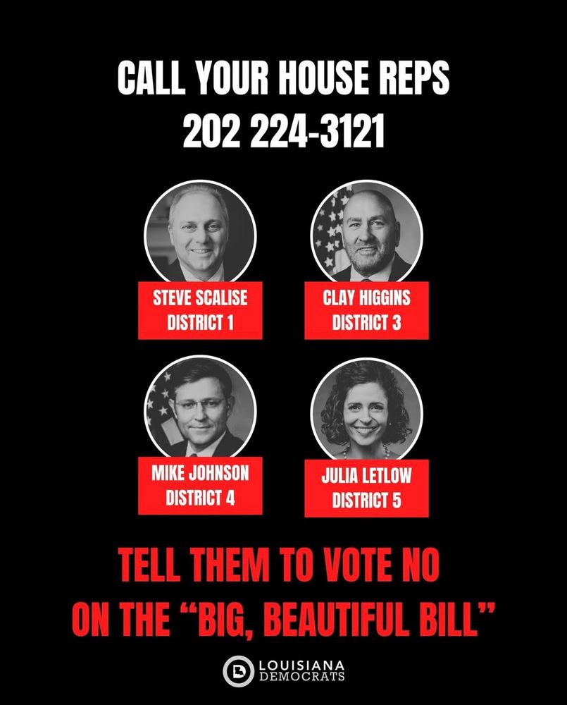 grid showing louisiana congressional GOP reps: steve scalise, clay higgins, mike johnson, julia letlow