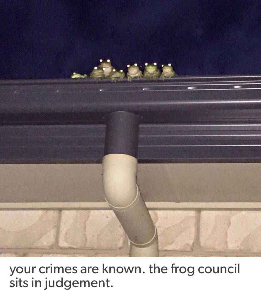 The frog council sitting in judgement