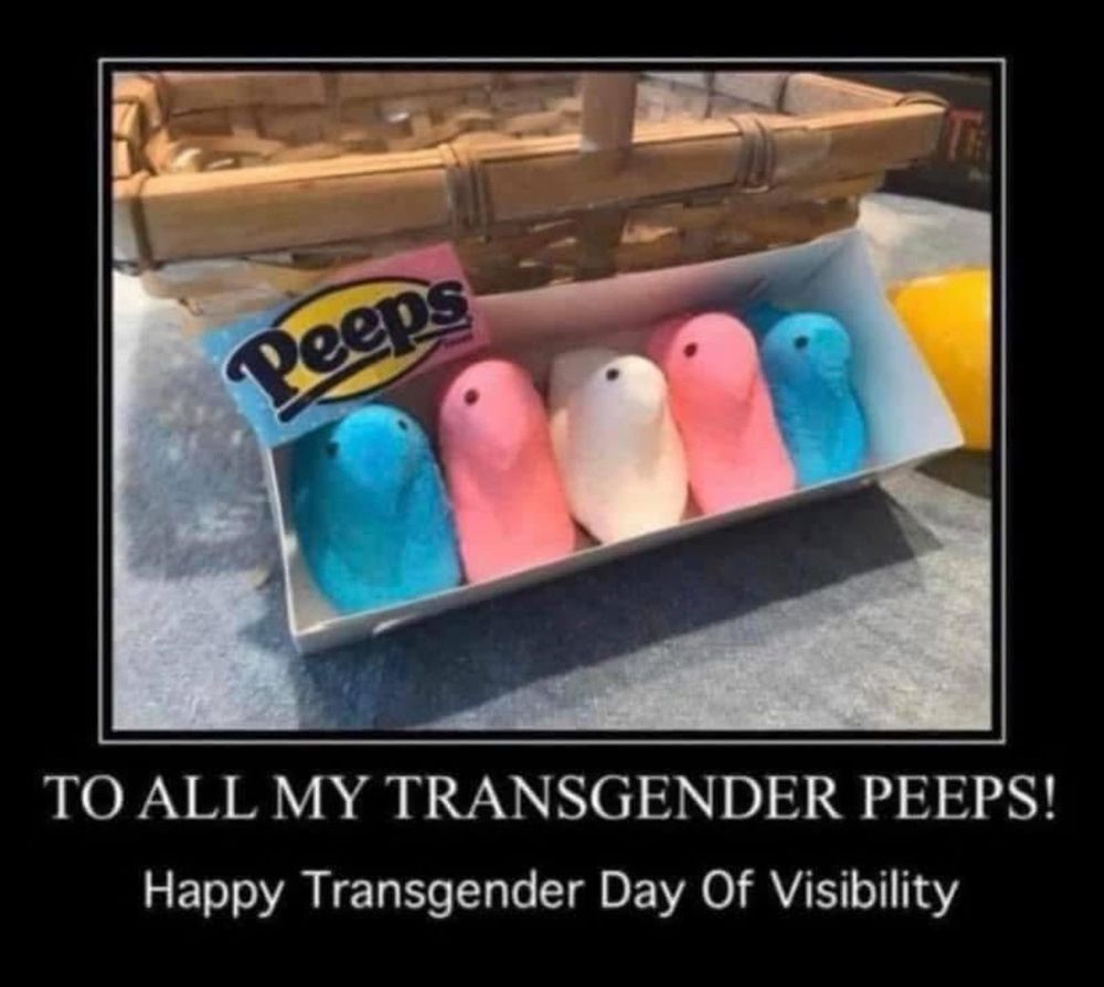 Transgender day of visibility