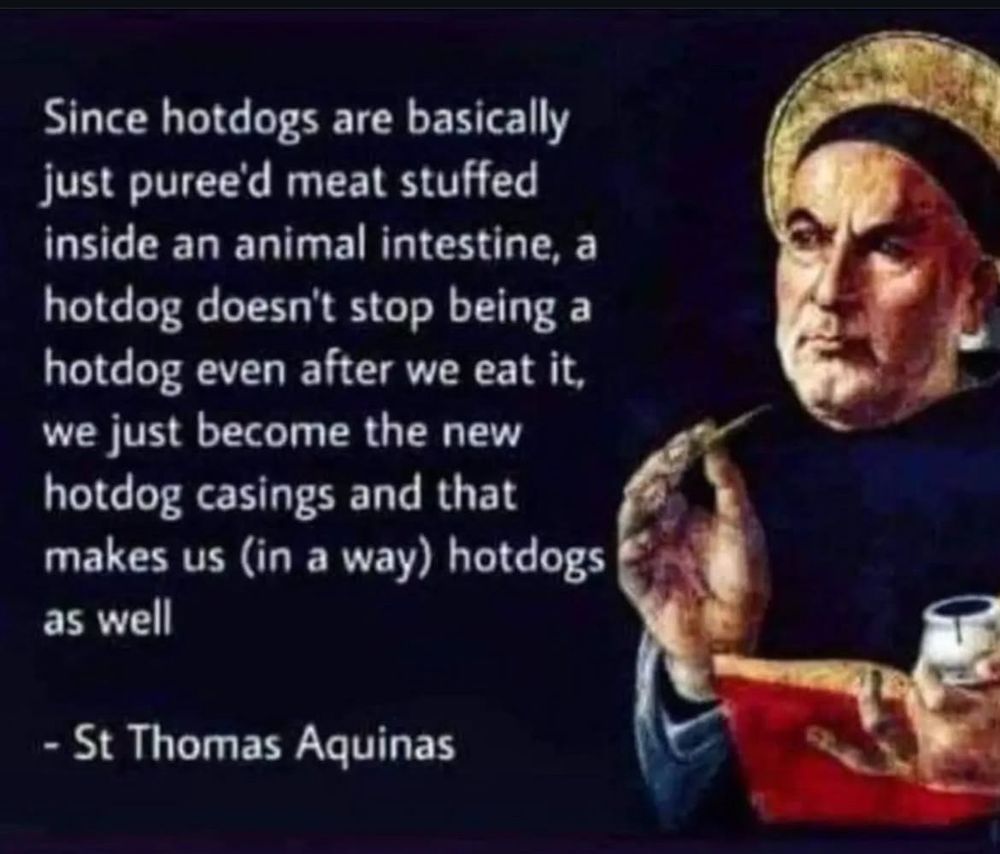 St Thomas Aquinas quote: hotdogs are just puréed meat stuff in an animal intestine, so a hotdog doesn’t stop being a hotdog even after we eat it, we just become the new hotdog casings and that makes us hotdogs as well! 