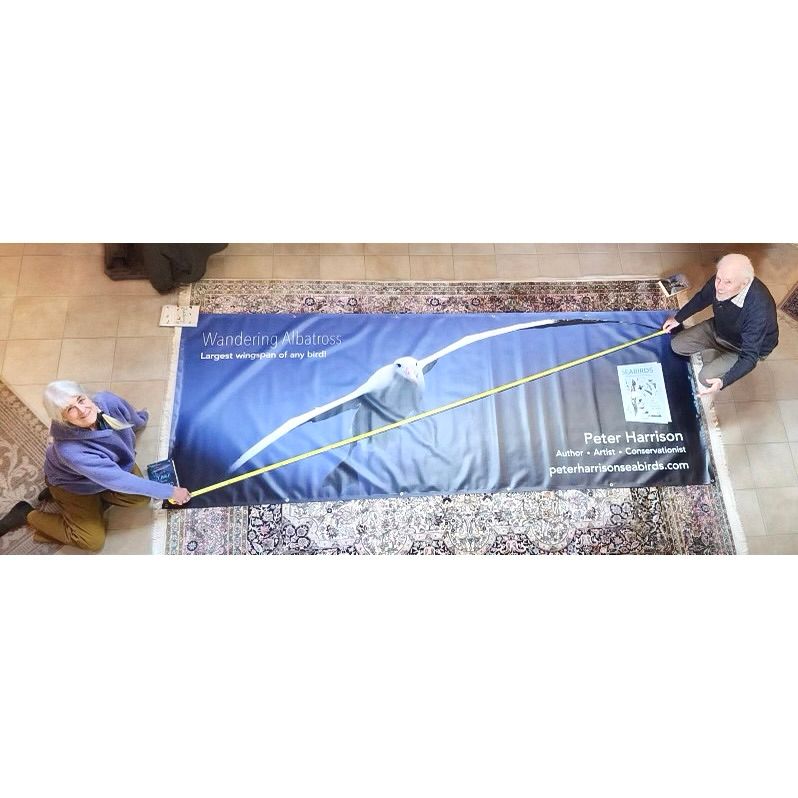 Debaran Kelso and Peter Harrison display Peter's new poster showing a life-size image of a Wandering Albatross in flight with its wingspan of over 11 feet! Debaran is sitting on the floor at the lower left corner of the poster and Peter is at the upper right corner and they are holding a tape measure between them across the poster.