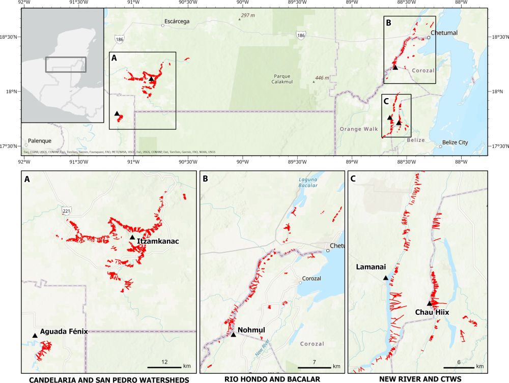 Linear wetland features identified in remote sensing data as probable fish-trapping facilities from areas across the Maya Lowlands.
An overview map (top) with inset maps below showing linear channels identified in (A) the Candelaria and neighboring San Pedro Drainage, (B) the Rio Hondo and Bacalar, and (C) the New River and Western Lagoon in the CTWS (all images courtesy of the BREA project).