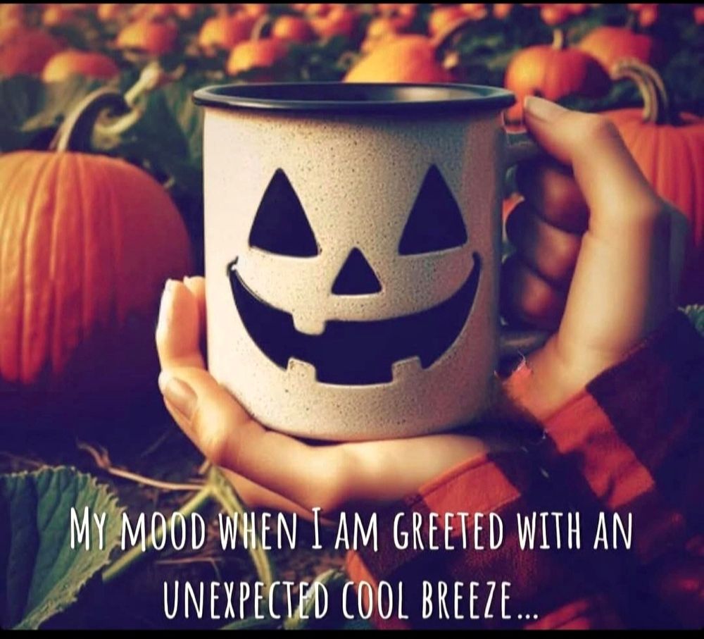Jack-o'-lantern mug being held by a person in a red flannel shirt. Only the wrists and hands are shown. They are in a pumpkin patch. There is white writing at the bottom of the picture saying - My Mood When I Am Greeted With An Unexpected Cool Breeze...