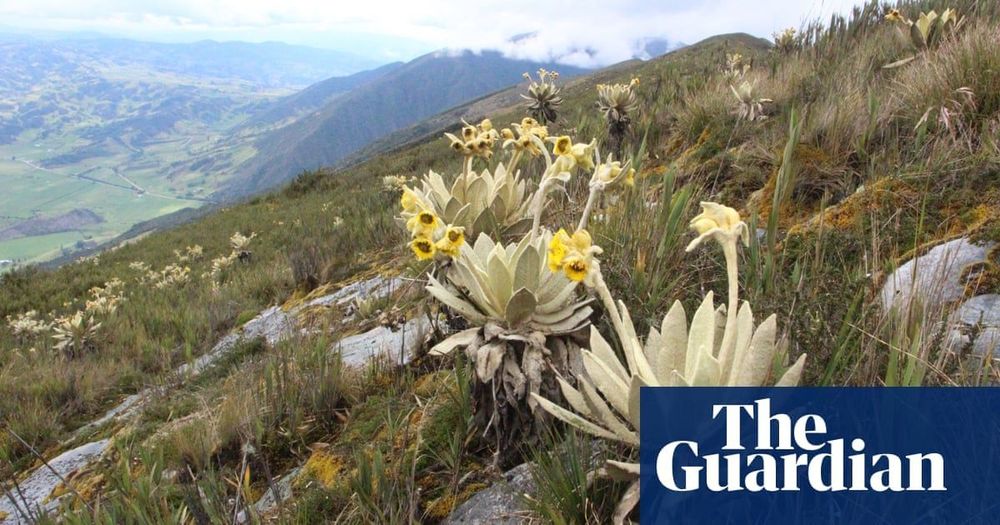 Botanists identify 33 global ‘dark spots’ with thousands of unknown plants