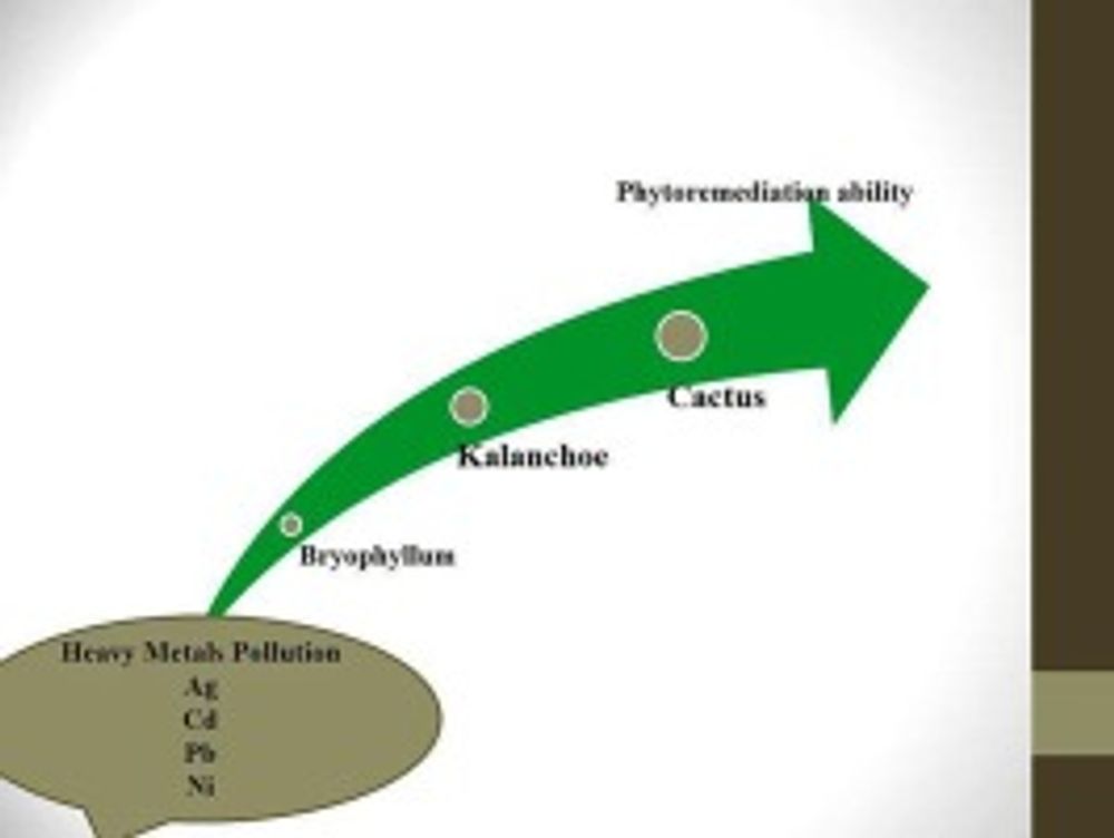 Phytoremediation ability of three succulent ornamental plants; cactus (Opuntia humifusa), kalanchoe (Kalanchoe blossfeldiana) and bryophyllum (Bryophyllum delagoensis) under heavy metals pollution