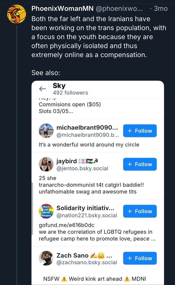 A crazy person on Bluesky saying “Both the far left and the Iranians have been working on the trans population with a focus on the youth because they are often physically isolated and this extremely online as a compensation.” With a screenshot of trans people’s Bluesky accounts as supposed “proof”. 