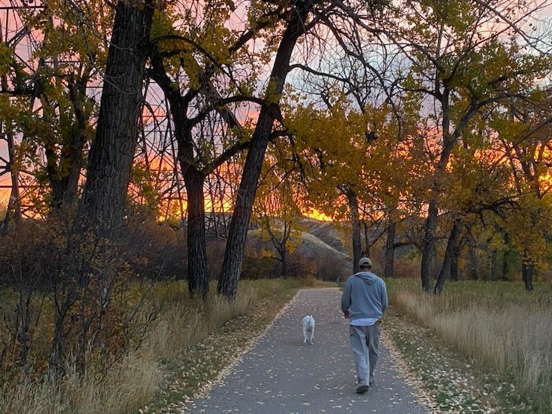 A man wearing a grey hoodies walking a white dog on a path through some trees