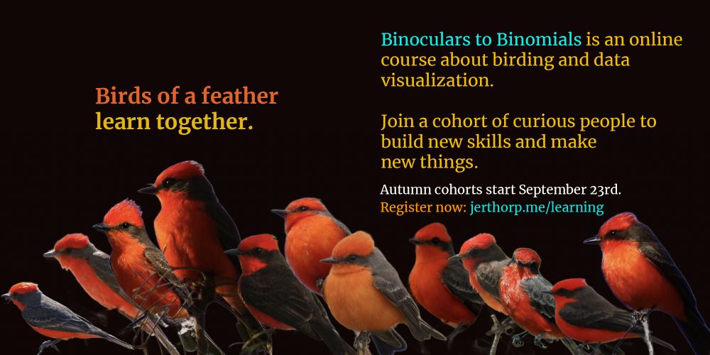 Birds of a feather
learn together.
Binoculars to Binomials is an online
course about birding and data
visualization.
Join a cohort of curious people to
build new skills and make
new things.
Autumn cohorts start September 23rd.
Register now: jerthorp.me/learning