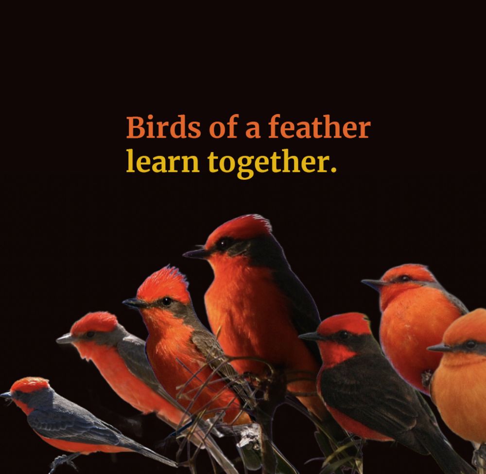 Birds of a feather learn together