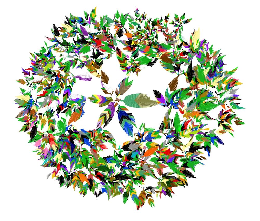 Snowflake pattern of colored bird feathers