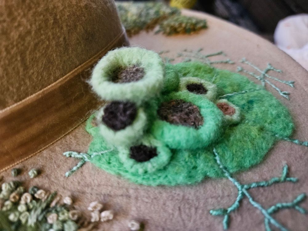 Felted lichen fruiting bodies from the back. The cups sit at different levels, which provides a cascading effect.