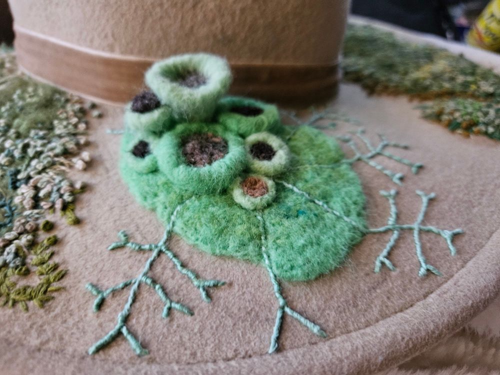 Felted lichen fruiting bodies attached to the brim of a tan hat. The fruiting bodies look like little mint green cups with brown insides. 