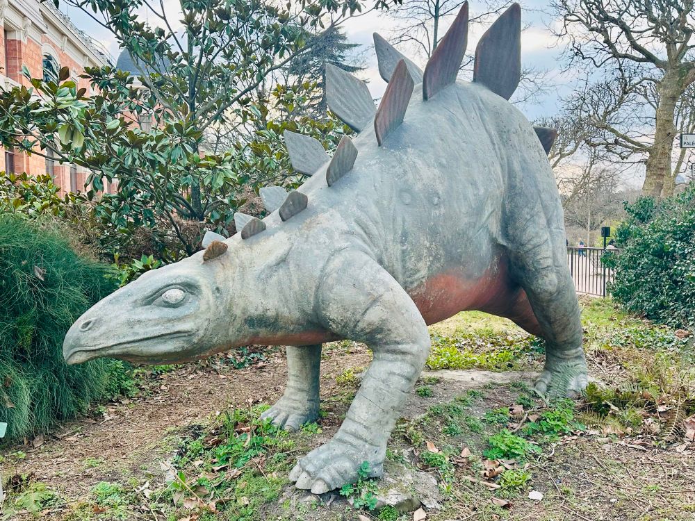 A stegosaurus statue near the entrance of the galerie de paléontologie. 