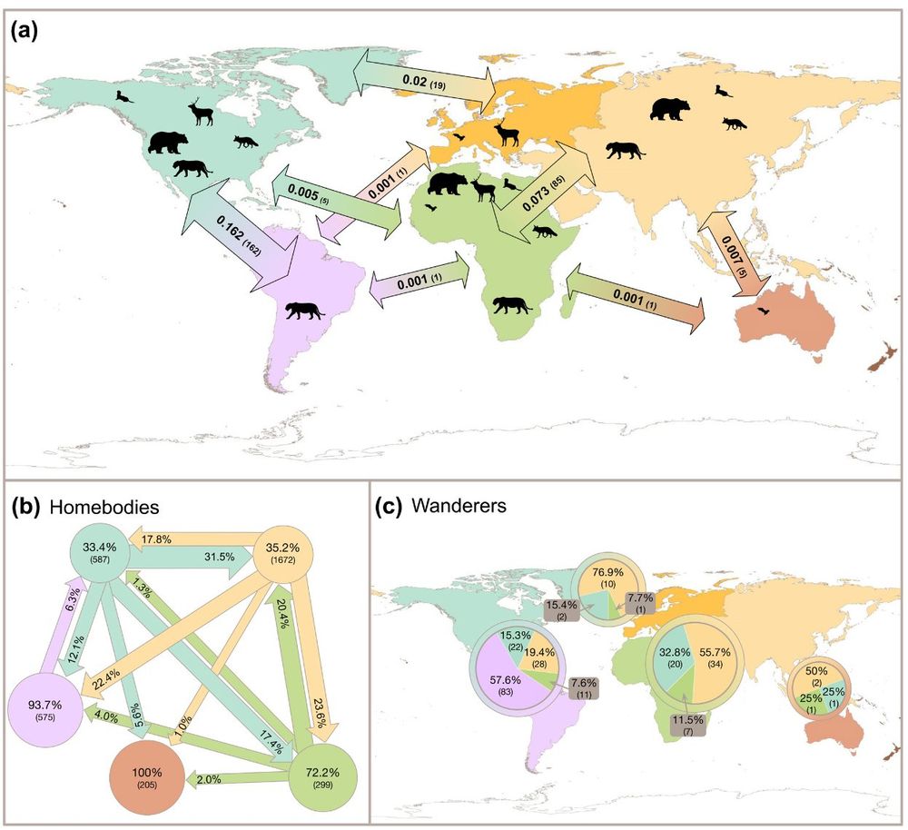 Share of common mammalian species across continents