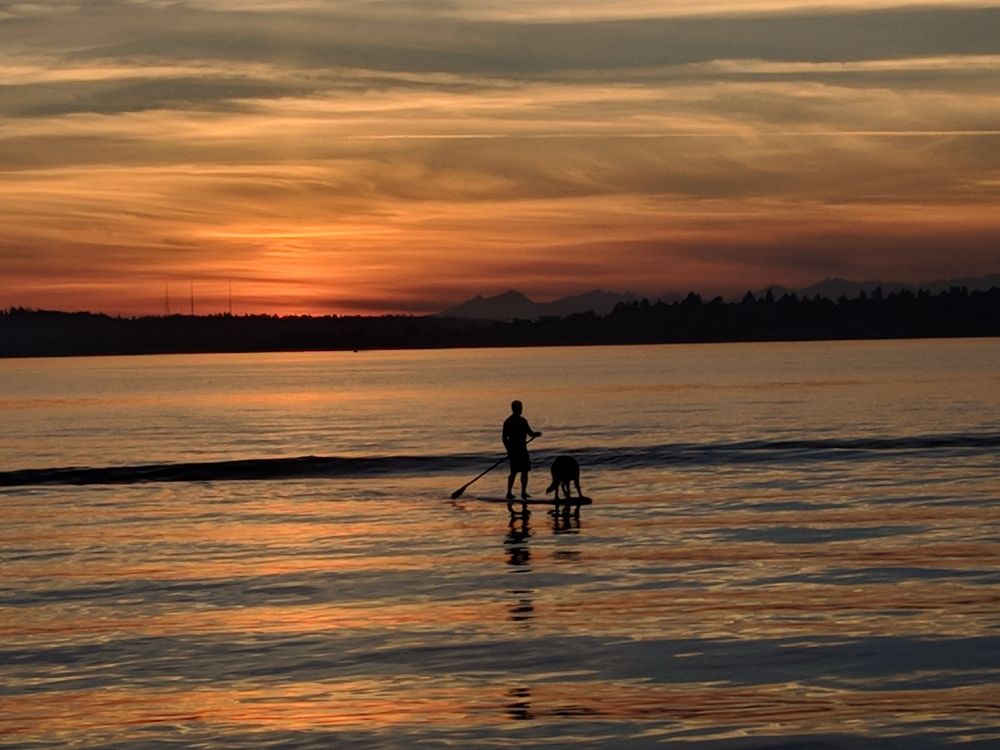 Sunset in a lake with a man and his dog on a paddle board in silhouette