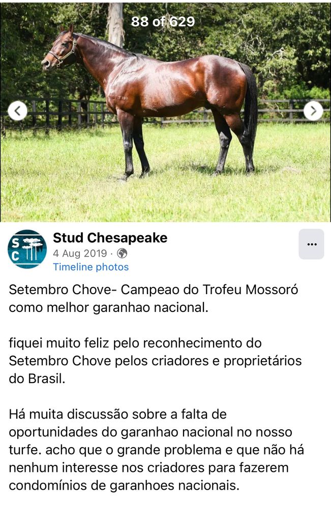 Fotografia de um cavalo marrom-escuro brilhante, em posição lateral, em um campo de grama verde cercado por uma cerca de madeira, com árvores ao fundo. Abaixo da foto, há uma postagem do Facebook da página ‘Stud Chesapeake’, datada de 4 de agosto de 2019, com o texto:
‘Setembro Chove – Campeão do Troféu Mossoró como melhor garanhão nacional. Fiquei muito feliz pelo reconhecimento do Setembro Chove pelos criadores e proprietários do Brasil. Há muita discussão sobre a falta de oportunidades do garanhão nacional no nosso turfe. Acho que o grande problema é que não há nenhum interesse nos criadores para fazerem condomínios de garanhões nacionais.’