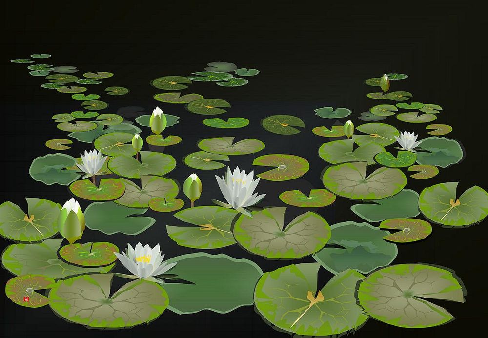 Green water lilies on a black background.