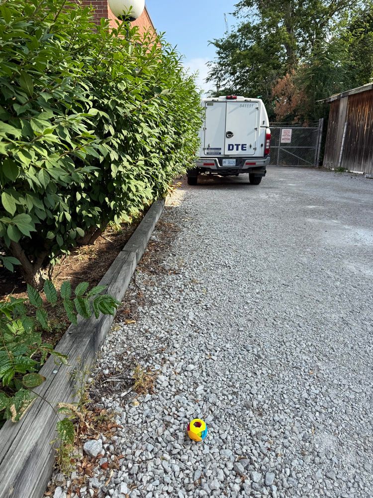 A brightly colored child/dog toy ball in a driveway behind a DTE truck.