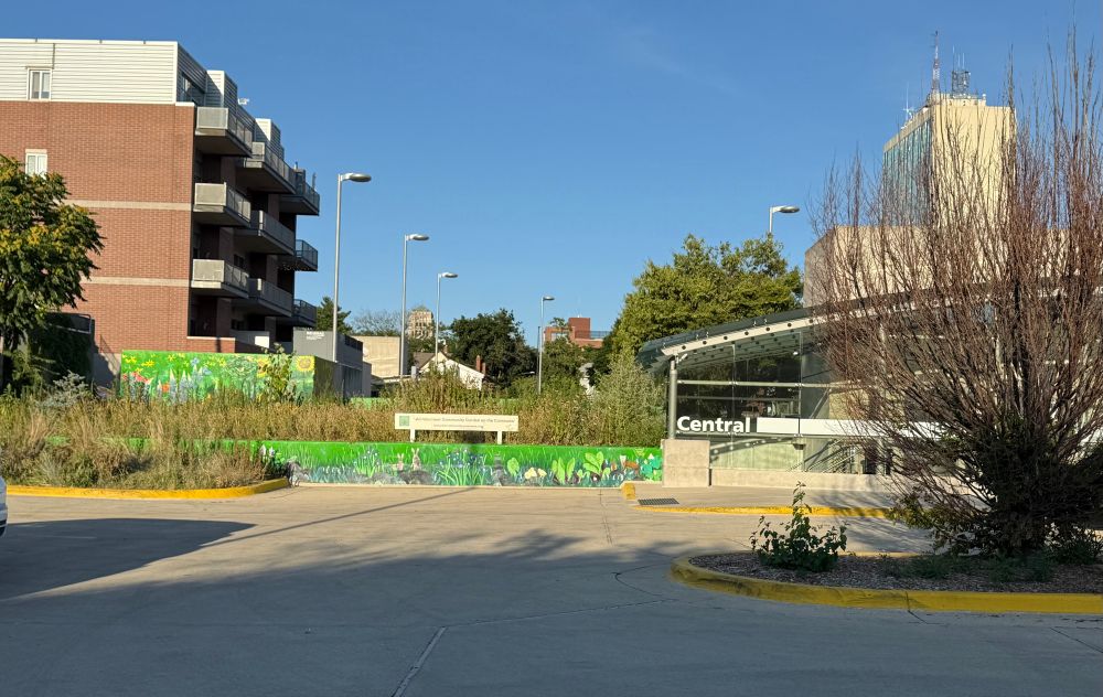 A parking lot with a large cement planter full of  plants that are gone by, are invasive, or have died. In front of it is a dead tree.