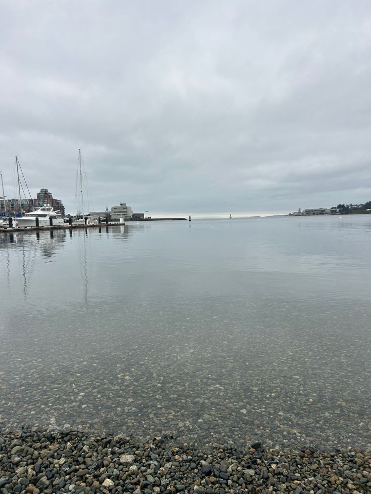 The Pacific Ocean at dead calm, Victoria Inner Harbour, BC Canada 🇨🇦 