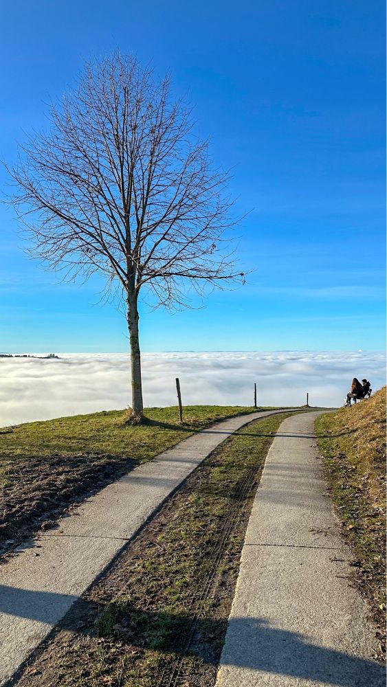 Über dem Hochnebel auf dem Gubel, einer Anhöhe in der Gemeinde Menzingen im Kanton Zug 🇨🇭