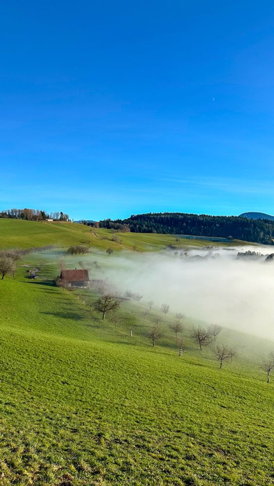 Hochnebelgrenze auf dem Gubel, einer Anhöhe in der Gemeinde Menzingen im Kanton Zug 🇨🇭