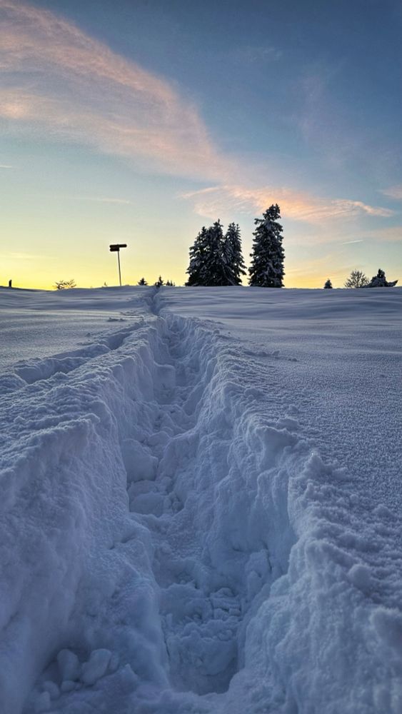 40cm tiefer Pfad im Neuschnee auf dem Zugerberg.
