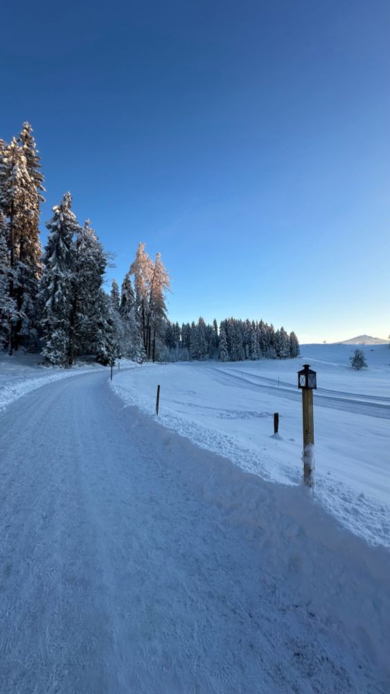 Schneebedeckte Zubringerstrasse in Richtung Hintergeissboden / Zugerberg.
