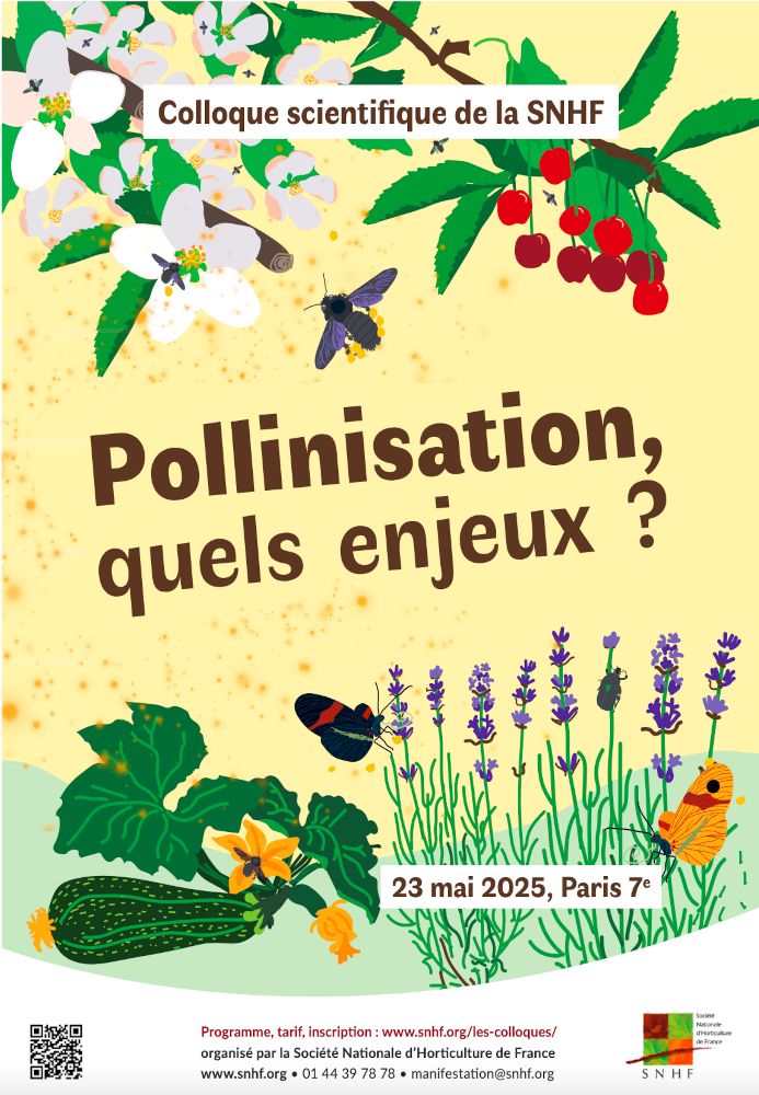 Affiche du colloque "Pollinisation, quels enjeux ?", le 23 mai 2025 dans le septième arrondissement de Paris, organisé par la Société Nationale d'Horticulture de France. On y voit une illustration de plusieurs insectes (abeilles, papillons...) sur différentes fleurs (cerisiers, courgettes, lavande).
