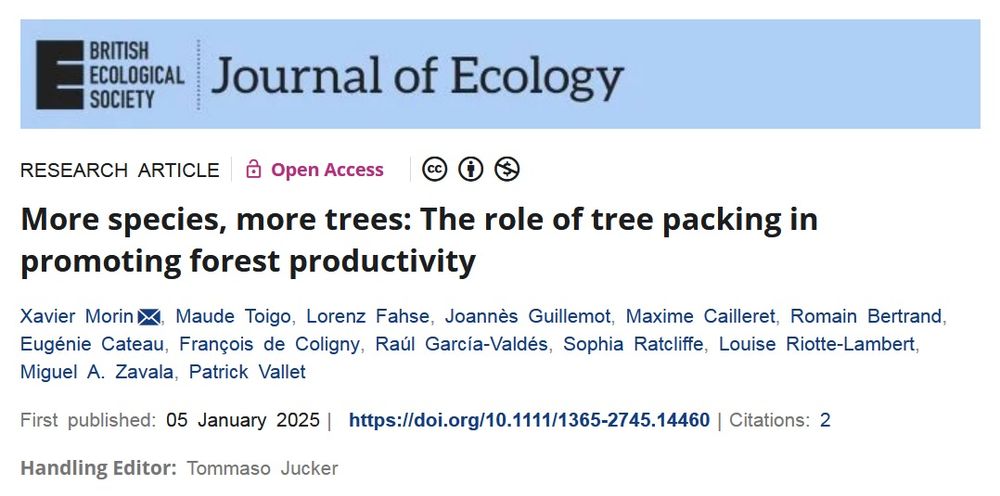 Capture d'écran du titre de l'article : More species, more trees: The role of tree packing in promoting forest productivity (Plus d'espèces, plus d'arbres : le rôle de la densification en arbres dans la promotion de la productivité forestière)
Paru dans Journal of Ecology en janvier 2025.
https://doi.org/10.1111/1365-2745.14460